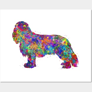 Cavalier King Charles Spaniel dog watercolor Posters and Art